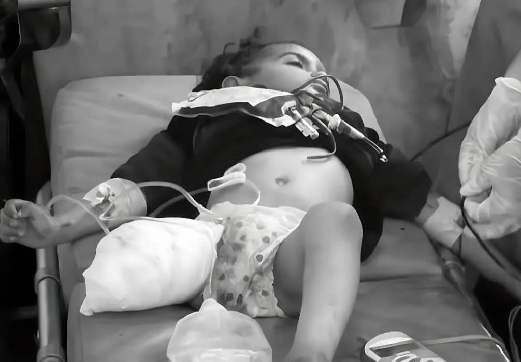 A Call for Peace: Reflections on Gaza’s&nbsp;Tragedy