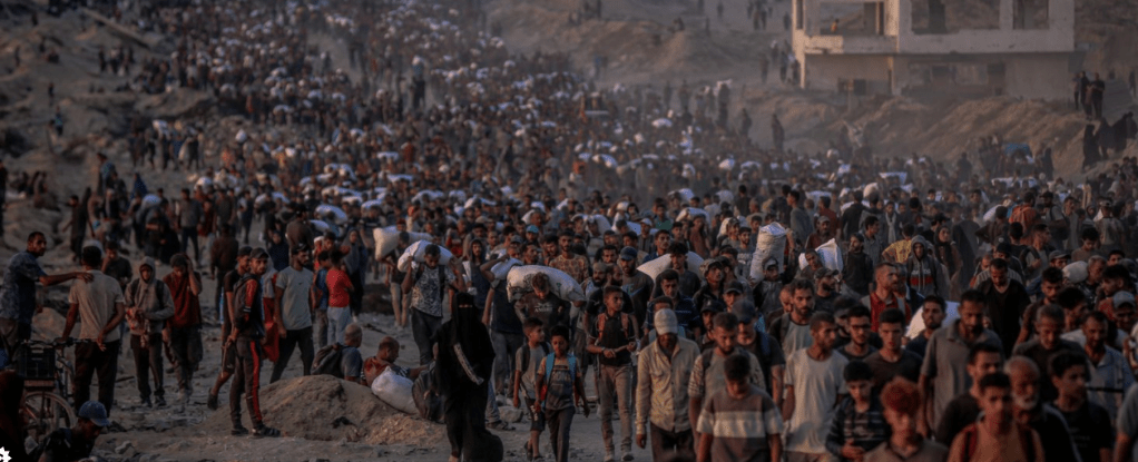 The Human Cost of&nbsp;War